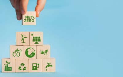 Collaborating for all Oxfordshire Small Businesses on Net Zero