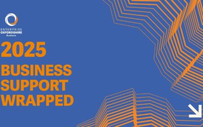 2025 Wrapped: A Year in Business Support